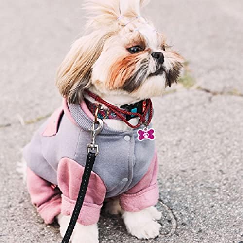 QR Code Dog Tag Personalized Pet Id Silent Cat Tags Engraved Name Plate with Online Profile («Pink Paw»)