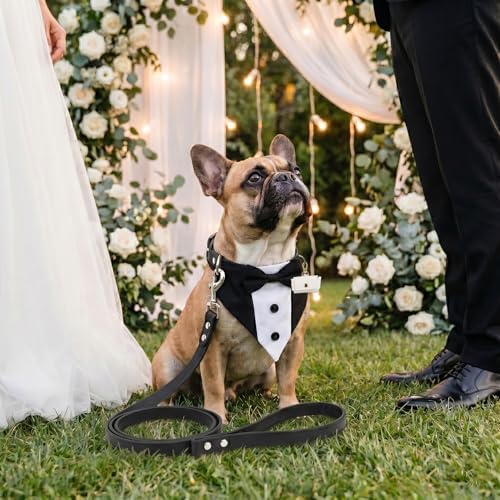 4PCS Dog Wedding Collar Outfit with Dog Tuxedo Leash Collar Ring Bearer Box, Dog Wedding Costume Ring Holder for Medium Large Dogs