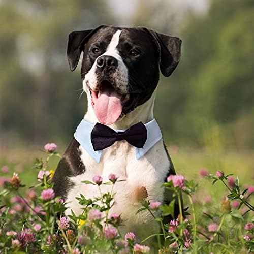 Dog Bow Tie, KOOLMOX Pet Bowtie Collar Black, Adjustable White Pet Tuxedo Collar with Black Dog Neck Bow Tie for Medium Large Boy Dogs Wedding Formal Tuxedo Suit Tux Outfits Birthday Costumes