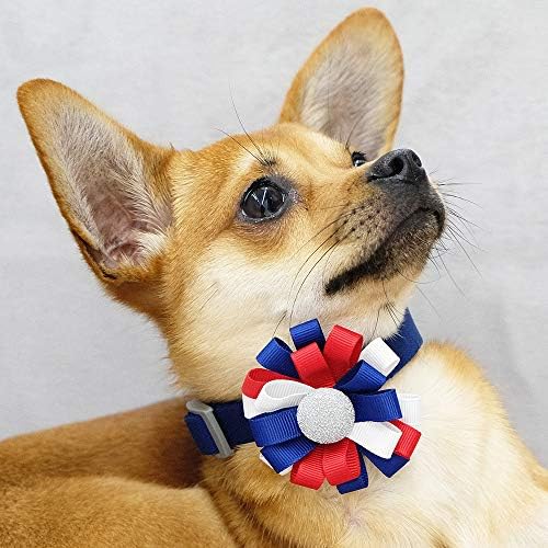 Blueberry Pet American Flag Accessory Set of Collar Accessory Hair Clip and Pedant for Dogs & Cats, USA Flag Color Floral and Star Tag