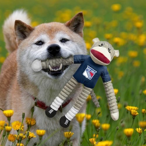 Littlearth NHL Team Sock Monkey Pet Toy - Officially Licensed Teams