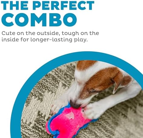 Outward Hound Durablez Minis Tough Chew Plush Squeaky Dog Toy, Pig, 6.8"