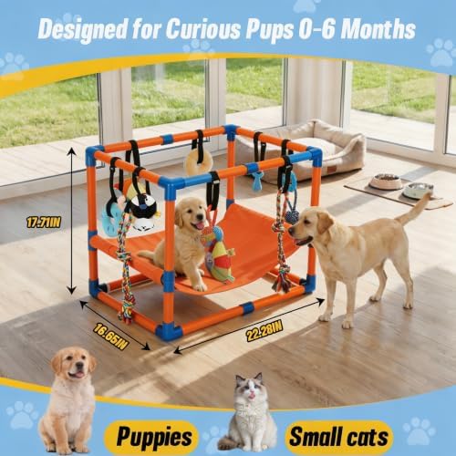 Orange Puppy Play Gym with 8 Hanging Toys