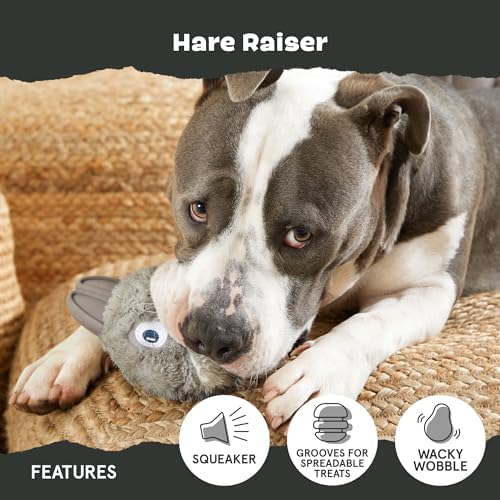BarkBox Hare Raiser Super Chewer - 2-in-1 - Toy for Medium to Large Dogs