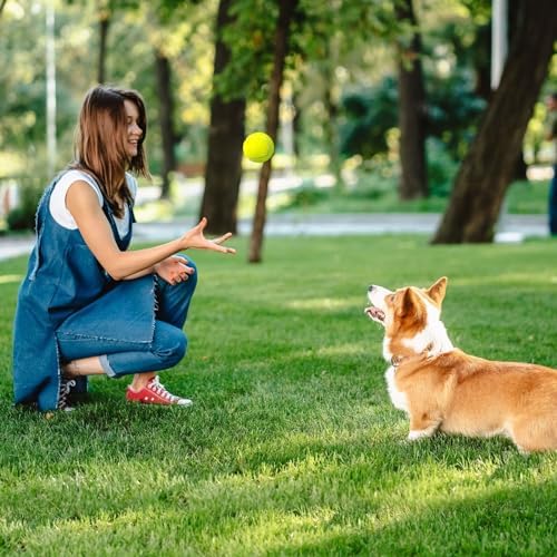 PrimePets Tennis Balls for Dogs 3 Pack 2.5”, Durable Dog Toys for Training, Fetch & Outdoor Play, Squeaky Balls for Dogs Small and Medium with High Bounce, Interactive Pet Fetch Ball
