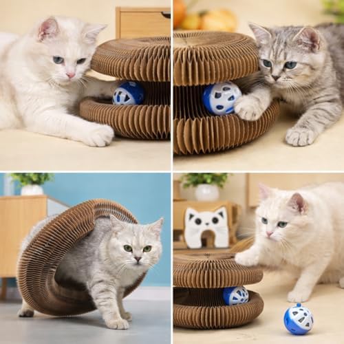Kitty Curls Cat Toy | Magic Organ Accordion Cardboard Cat Scratcher for Indoor Cats | Foldable Circle Cat Toy with Bell Ball | Interactive Collapsible Cat Dancer Toy | Scratching Pad (Paw Face)