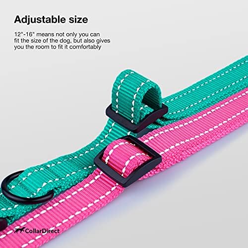 Reflective Dog Collar, Quick-Release Buckle (Mint Green, 12-16 Inch)