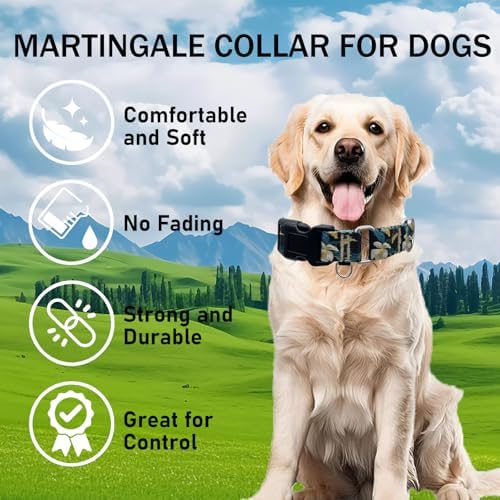 Martingale Collar for Dogs with Buckle No Pull, Golden Floral, S