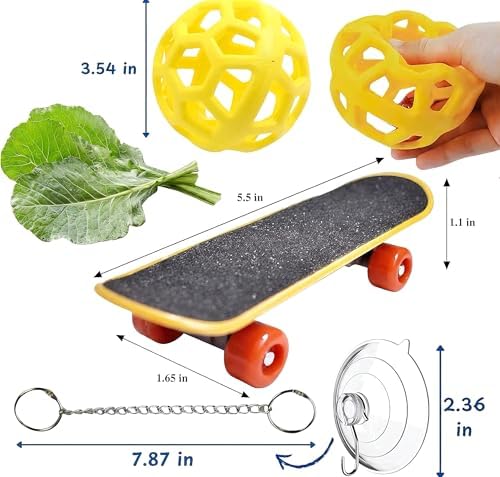 Reptile Tank Accessories Set with Interactive Feeder Ball, Skateboard Toy, Exercise Bells for Bearded Dragon, Lizard, Gecko Enrichment and Activity