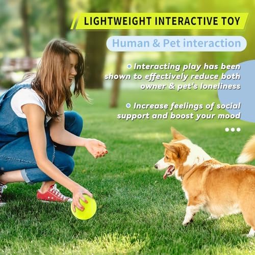 susu & wuwu Large Tennis Ball for Dogs 4 Inch Big Tennis Ball for Dog, Outdoor Play Toy for Small, Medium, Large Dogs Pet Birthday Gift(4 Pack)