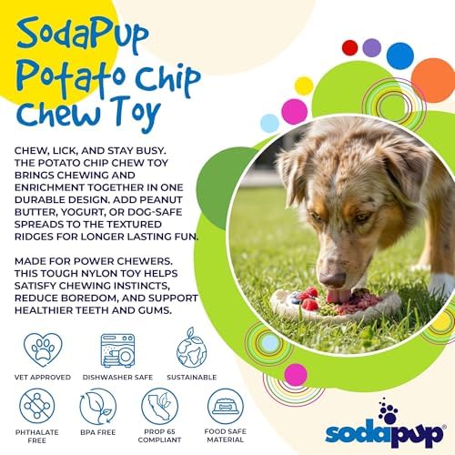 SodaPup Potato Chip – Durable Dog Chew & Enrichment Toy Made in USA from Non Toxic Pet Safe Food Safe Nylon for Aggressive Chewers, Mental Stimulation, Clean Teeth, Fresh Breath, & Problem Chewing