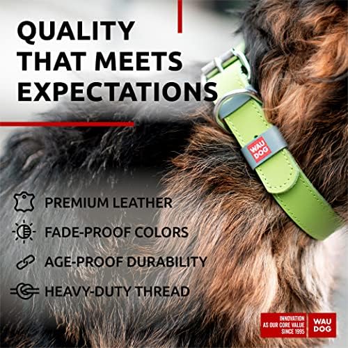 WAUDOG Genuine Leather Dog Collar Adjustable Large Medium Small QR Code Tag