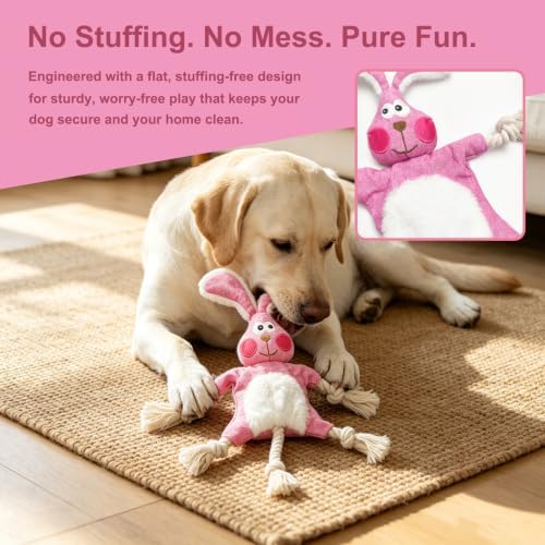 No Stuffing Crinkle Squeaky Dog Toy for Small Medium Puppies,（Rabbit）