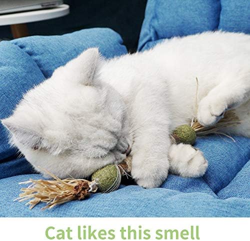 PAZ'S GIFT Catnip Toy Cat Toys Catnip Toy cat chew Toy cat Kicking silvervine Stick Teeth Cleaning Cute Kitten Teething Indoor Interactivecat Dental Care Matatabi (Catnip Balls)