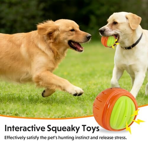 LaRoo Durable Squeaky Dog Ball, 3 Inch TPR Chew Ball Toy for Medium Dogs