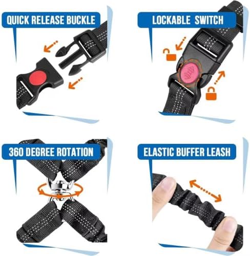 Dual Dog Car Seat Belt Leash for Smart Fortwo