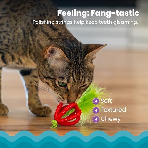 Catstages Dental Strawberry Teether Cat Chew Toy with Catnip, 4"