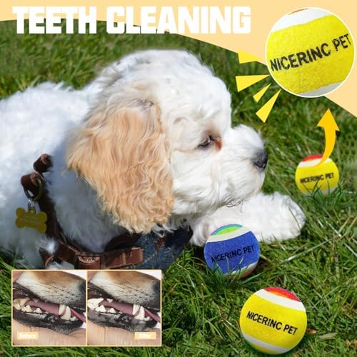 X-Small Dog Tennis Balls Dog Toys Ball 1.5" Pack of 12, Fit Ball Launchers