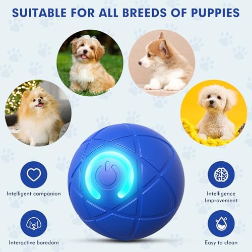 Interactive Dog Toys, Blue, Small Dogs
