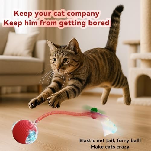 Speedy 2.0 Tail Interactive Cat Toys for Indoor Cats, Automatic Cat Toy with Elastic Mesh Tail, Electric Rolling Ball on Carpet, Chirping and Motion Activate Cat