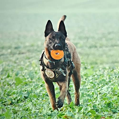 Andiker Squeaky Dog Toy, TPR Chewable Dog Toys for Teeth Grinding&Cleaning Dogs Fetch Toys for Enhancing Interactivity Outdoor Suitable for All Dog Sizes Puppy’s Gifts and Dog Lovers (Large Orange)