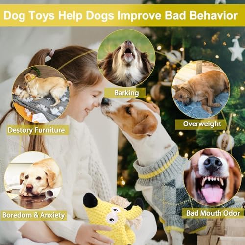 Letsmeet Squeaky Plush Dog Toys - Rope-Designed Interactive Dog Chew Toy for Large Dogs, Puppy Toys for Tug of War, Durable Pet Toys for Dogs