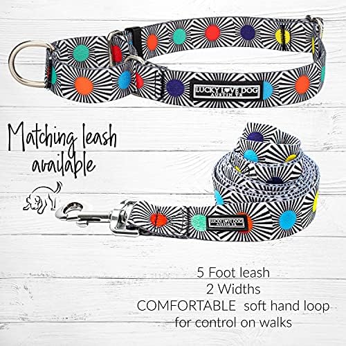 Lucky Love Dog Martingale Collar for Medium Dogs No Slip – SOCO, Medium