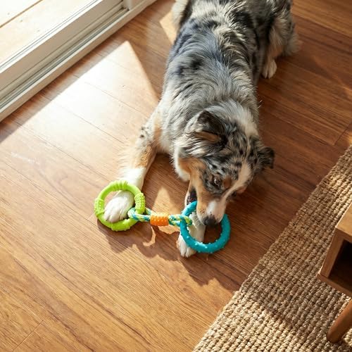 Pupstages Dental Links Dog Chew Toy, Textured Rings & Woven Rope, 8.5"