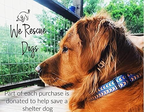 Lucky Love Dog Martingale Collar for Large Dogs No Slip – Murphy, Large