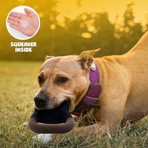 Kettlebell Dog Toy – Funny Squeaky Dog Toys for Interactive Play and Training – Durable, Easy to Clean, Birthday Gifts for Small, Medium and Large Dogs