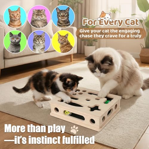 Cat Scratch Puzzle Enrichment Box, Wood Interactive Cat Toy with Sandpaper