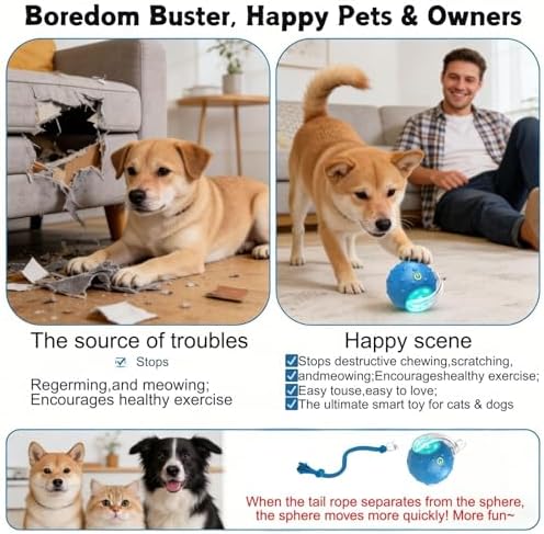 2PCS Tiny Fetch Interactive Dog Cat Toy Ball - 360° Automatic Scrolling with Birdsong, Fast Moving Balls Toys for Pets, Smart Obstacle Avoidance, Rechargeable Boredom Buster for Pets (Blue+Red)