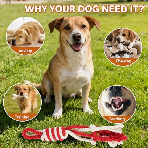 3 Pack Cotton Rope Dog Toy Set, Indestructible Chew Toys for Aggressive Chewers, Puppy Teething Toys with Bone, Human & Rope Dog Ball Designs for Boredom Relief & Tug of War， Red-White