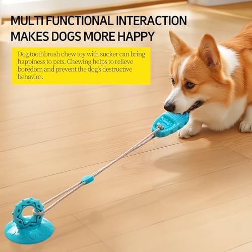 2026 New Dog Suction Cup Toy-Tug of War Style with Rope