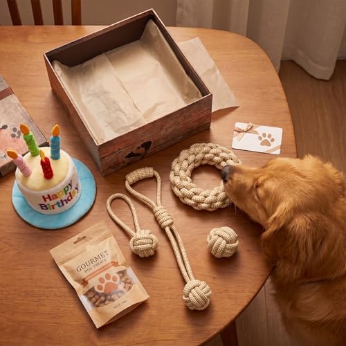 4 Pack Dog Rope Toys for Small Dogs, Heavy Duty Puppy Teething Sturdy Cotton Chew Tug Ropes, Tough Interactive Tug Pull Rope for Dogs, Teeth Cleaning