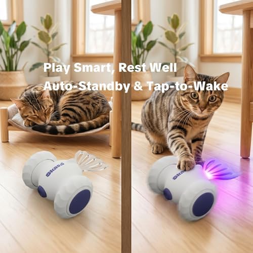 Interactive Cat Toys, Puppy Dog Toys
