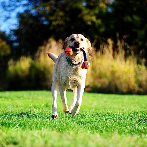 Chuckit! Ultra Duo Tug Toy, Small Indoor and Outdoor for Dogs 0-20 Pounds