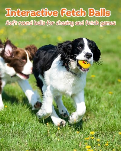 Squeaky Dog Toys, Interactive Soft Plush Puppy Toy Balls for Small Medium Breed, Cute Stuffed Pet Teething Ball Pack to Keep Dogs Busy