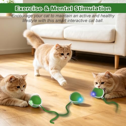 Automatic Interactive Rolling Cats Toys Ball for Indoor, Electric Automatic Rolling Pet Toy, 360° Smart Interactive Rolling Dog Ball Durable and Safe Material for Cat and Dog(Green)