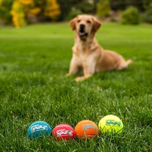 Outward Hound Squeaker Ballz Tennis Ball Dog Toy, Medium, 2.5", 4‑Pack | Squeaks & Bounces, Bright Colors, Interactive Fetch & Training, Indoor Outdoor, Moderate Chewers, Medium Dogs (Under 50 lbs)