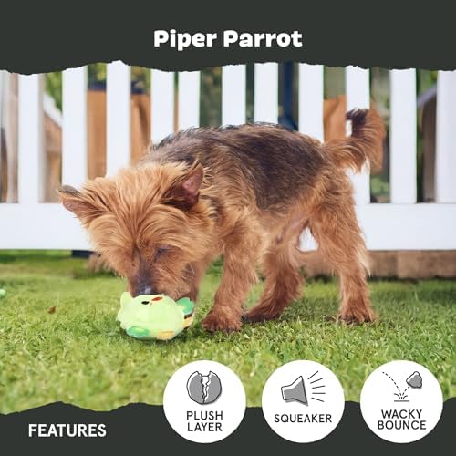 BarkBox Piper Parrot Dog Toy - for Small Dogs