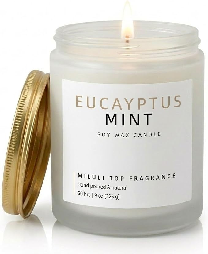 Eucalyptus Mint Scented Candles for Home - 15% Essential Oil Luxury Aromatherapy - Handmade Natural Soy Wax Candle for Women Men Relaxation - 9oz Frosted White Jar,50H Clean & Non-Toxic Burn