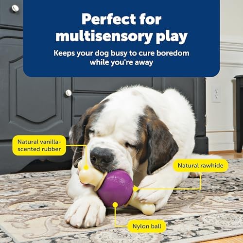 PetSafe Busy Buddy Bouncy Bone Treat Holding Dog Chew Toy, Large
