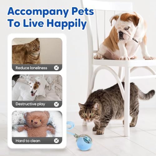 Interactive Cat Toy Ball, 2026 New Rechargeable Motion Activated Self Solo Play Electronic Stimulation Chase Teaser Ball Toy with Rope for Indoor Bored Adult Cat and Dog (Pink, 2pcs)