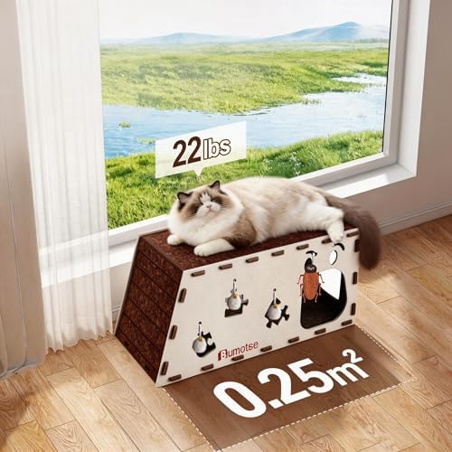 Cat Tunnel House for Indoor Cats, 3-in-1 Felt Cave and Scratcher