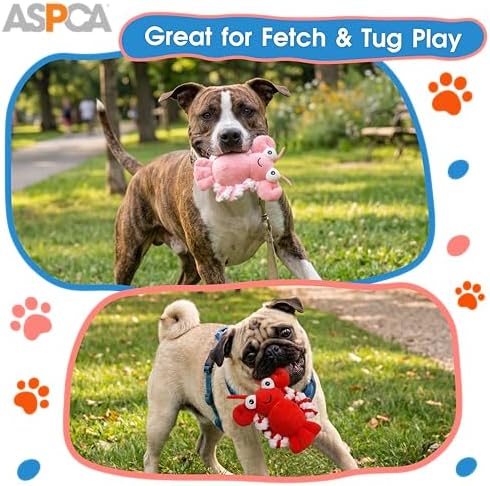 ASPCA 2 Pack Plush Dog Toy with Squeaker for Small & Medium Dogs, Soft Durable Stuffed Pet Toy for Fetch, Tug & Cuddle, Interactive, Lightweight, Engaging Play Toy for Dogs