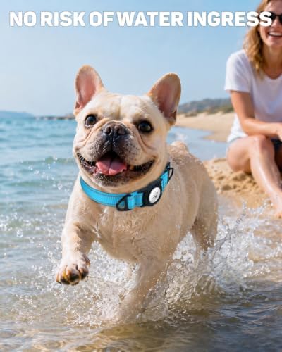 Padded Dog Collar with Waterproof Holder Compatible with Airtag
