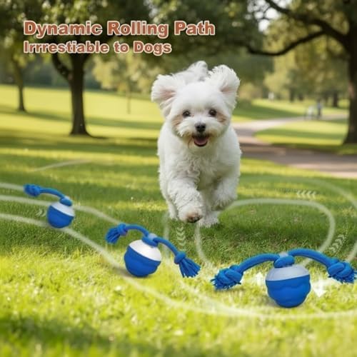 2026 New Interactive Dog Ball [Upgraded Version] - Smart Automatic Rolling Toy with Chew Rope & Sound for Small to Medium Dogs, USB Rechargeable, Durable Dog Stimulation Toy to Keep Them Busy