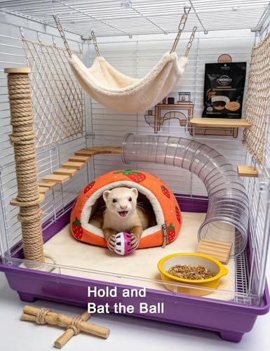 10-Pack Ferret Jingle Bell Toy Balls, Non-Toxic PP, Hollow Play