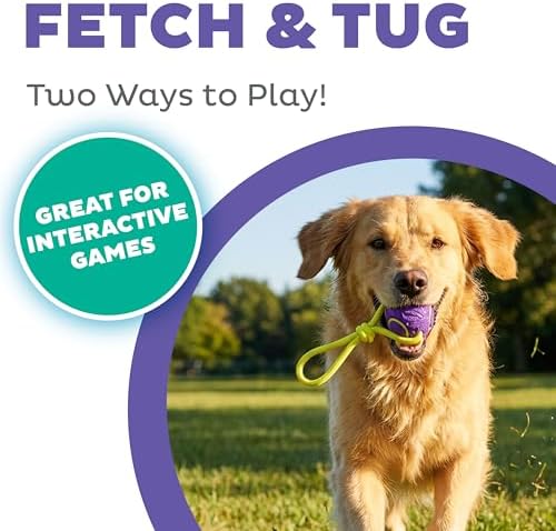 Outward Hound FlyFetch Ball Tug Dog Toy, Durable Rubber & Rope for Fetch and Tug-of-War, Lightweight, Floats, 9" x 3"